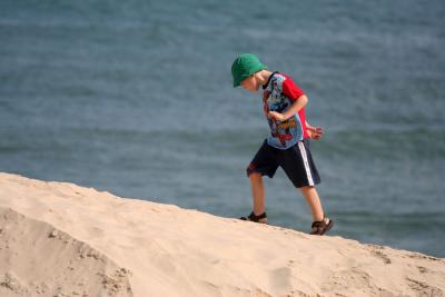 On the beach, Shutterbugs