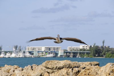 20 mph headwinds on your approach