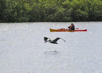 Florida 2009