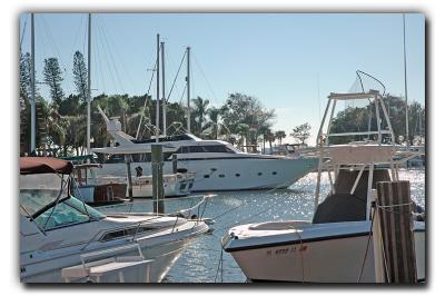 Sarasota Marina, 12/22/05
