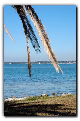 Sarasota Bay, 12/27/05