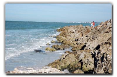 Beach View, 12/28/05, Siesta Beach