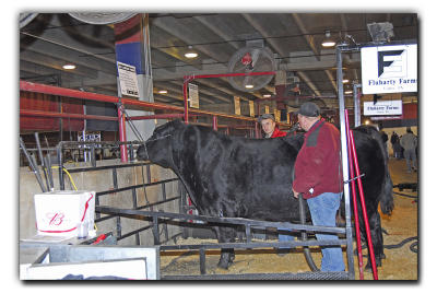 Getting ready for the big show