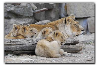 Family break time