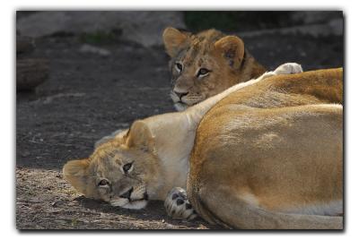 We've got your back Mom.