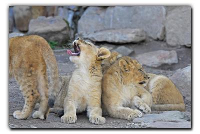 Time to wake up !