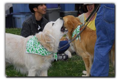 I like to sing (North Texas Irish Festival)