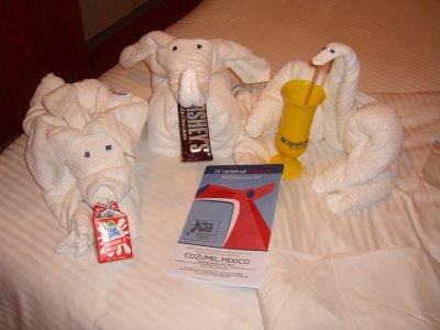 Our towel animal family