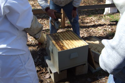 DSCF2051.JPG