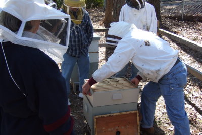 beekeeping_class
