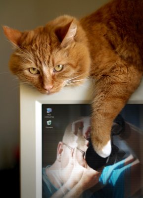 Hey Bartosz.. even the Meow wants to see your nice face ;))~