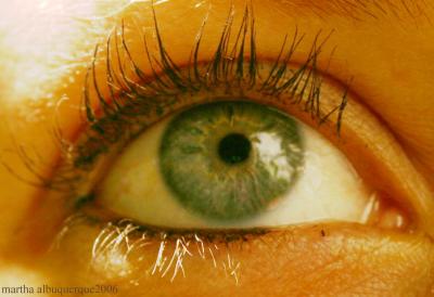 ojo .. olho .. eye..