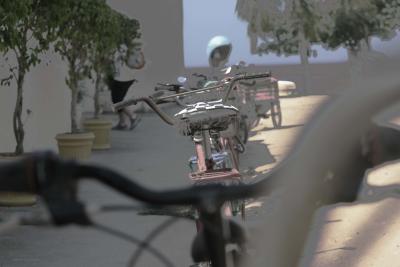 bike in a roll
