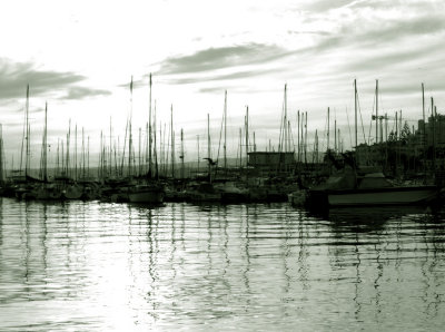 g3/11/635511/3/88622747.sXxk2IuP.jpg