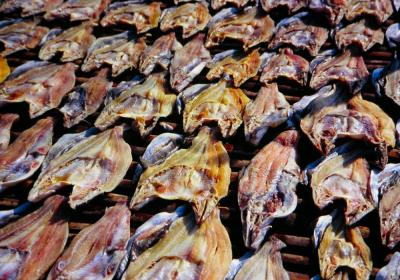 g3/11/653611/3/58095186.website38DryingFish.jpg