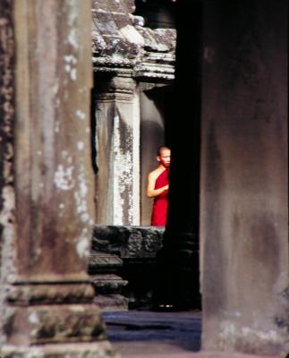 g3/11/653611/3/58095195.website5MonkatAngkorWat.jpg