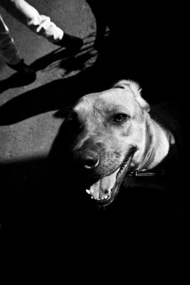 _MG_1397bw.jpg