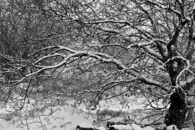 _MG_2244.jpg