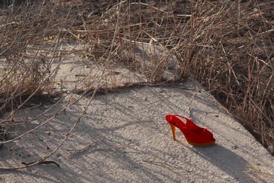 RedShoe.jpg