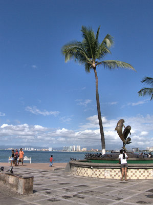 Puerto Vallarta Scene.jpg