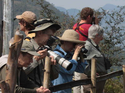 Birding stop near Trashigang, Bhutan