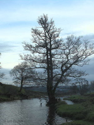 The Endrick Water