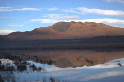 Conic Hill reflected in the flood waters on the Crom Mhin marsh