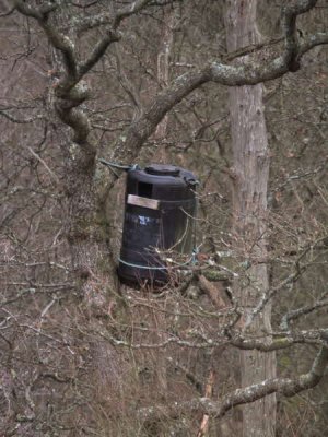 Owl nest box, Loch Lomond NNR