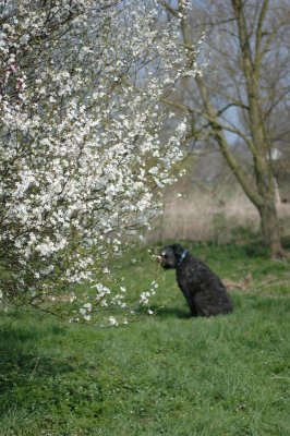 DSC_0045.jpg