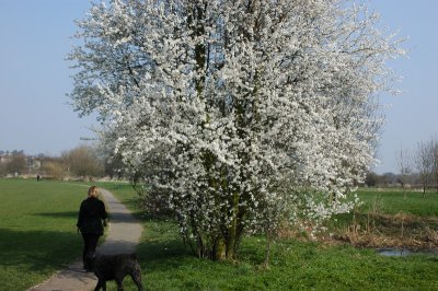 DSC_0051.jpg