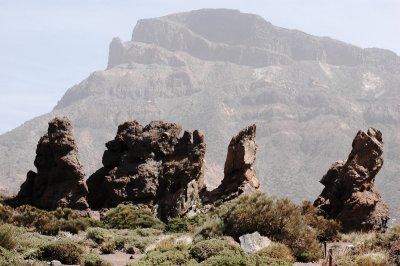 DSC_0210-1_1.jpg