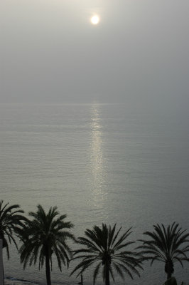 DSC_0257.jpg
