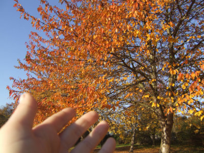 DSCF3422.jpg