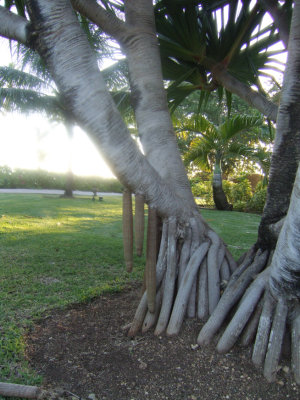DSCF4211.jpg