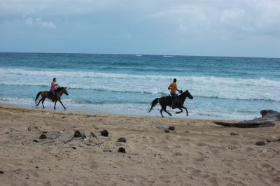 DSC_0305.jpg