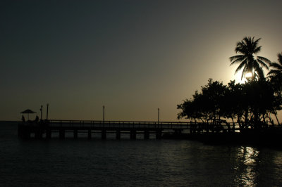 DSC_0332.jpg