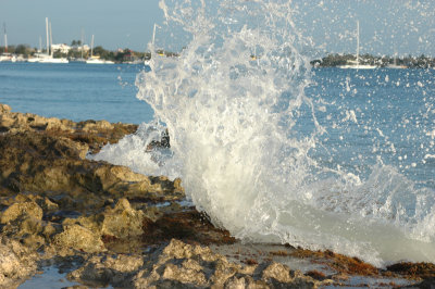 DSC_0356.jpg