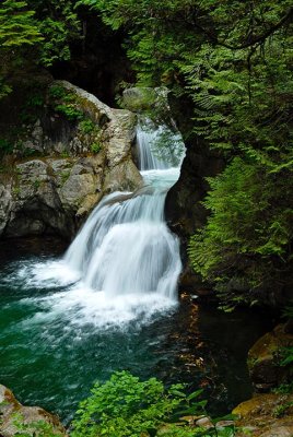 Lynn Canyon