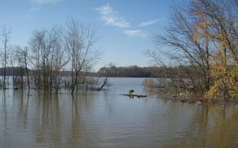 The Flood of 2009.jpg
