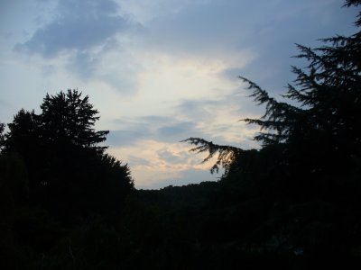 P1010093.jpg