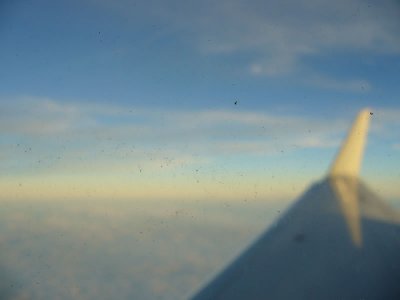 P1010347.jpg