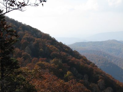 IMG_0945.jpg