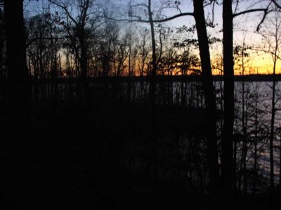 P1020481.jpg