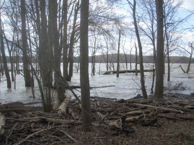 Common Area Under Water 305 feet.jpg