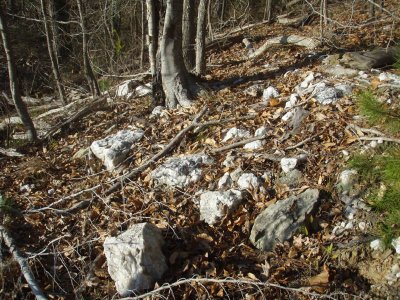 Quartz Outcrop Below Cabin.jpg