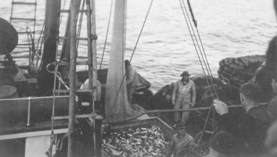 Commercial Fishing.jpg