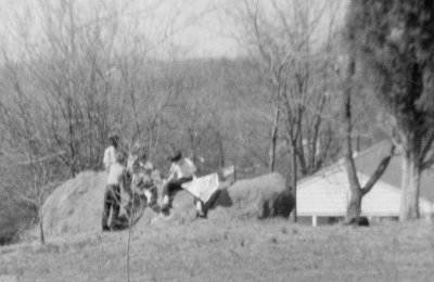 Dempsey Kids on The Big Rock 99 Clifton St.jpg