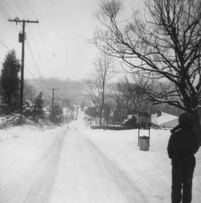 The Sledding Hill 99 Clifton Street.jpg