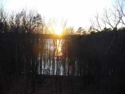 P1020660.jpg