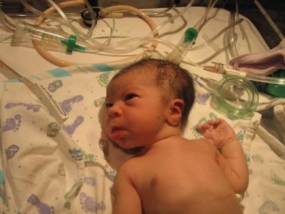New BabyIMG_0228.jpg